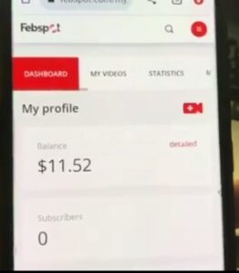 Earning Proof of making money on febspot