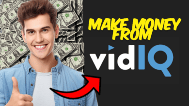 VidIQ make money